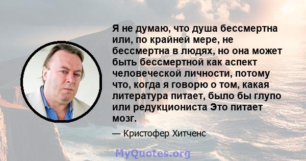 Я не думаю, что душа бессмертна или, по крайней мере, не бессмертна в людях, но она может быть бессмертной как аспект человеческой личности, потому что, когда я говорю о том, какая литература питает, было бы глупо или