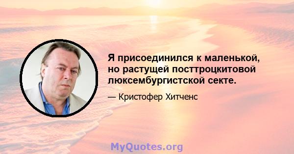 Я присоединился к маленькой, но растущей посттроцкитовой люксембургистской секте.