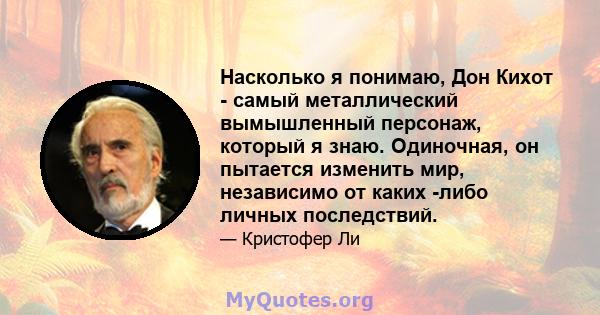 Насколько я понимаю, Дон Кихот - самый металлический вымышленный персонаж, который я знаю. Одиночная, он пытается изменить мир, независимо от каких -либо личных последствий.