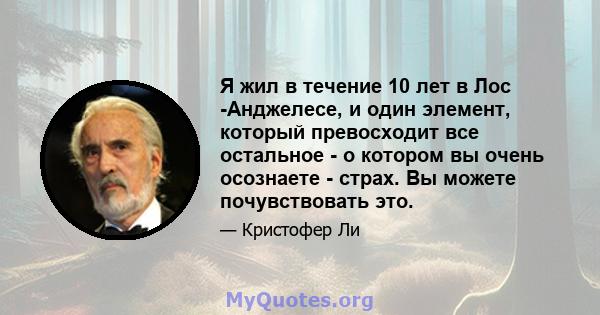 Я жил в течение 10 лет в Лос -Анджелесе, и один элемент, который превосходит все остальное - о котором вы очень осознаете - страх. Вы можете почувствовать это.