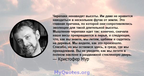 Черепахи ненавидят высоты. Им даже не нравится находиться в нескольких футах от земли. Это главная причина, по которой они сопротивлялись эволюции для такой длительной высоты. Мышление черепахи идет так: конечно,