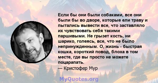 Если бы они были собаками, все они были бы во дворе, которые ели траву и пытались вывести все, что заставляло их чувствовать себя такими паршивыми. Не грызет кость, ни шарико, голеясь, все, что не было непринужденным.