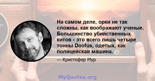 На самом деле, орки не так сложны, как воображают ученые. Большинство убийственных китов - это всего лишь четыре тонны Doofus, одетых, как полицейская машина.