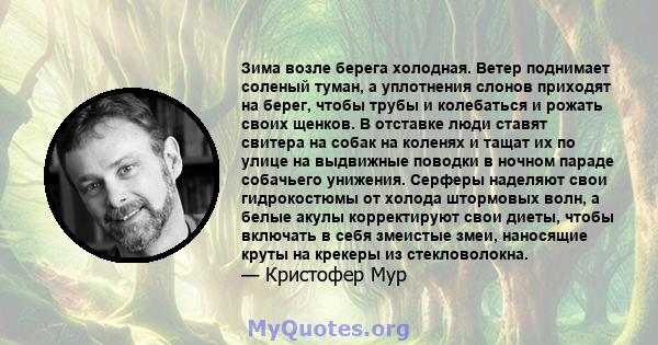 Зима возле берега холодная. Ветер поднимает соленый туман, а уплотнения слонов приходят на берег, чтобы трубы и колебаться и рожать своих щенков. В отставке люди ставят свитера на собак на коленях и тащат их по улице на 