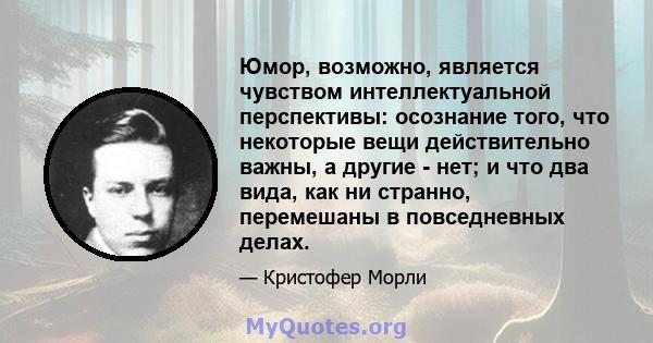 Юмор, возможно, является чувством интеллектуальной перспективы: осознание того, что некоторые вещи действительно важны, а другие - нет; и что два вида, как ни странно, перемешаны в повседневных делах.