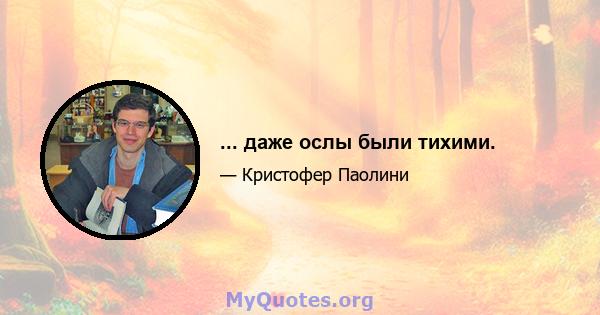 ... даже ослы были тихими.