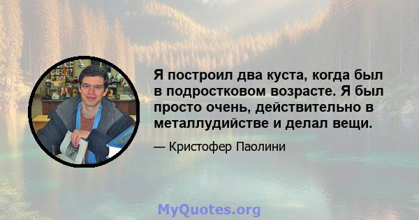 Я построил два куста, когда был в подростковом возрасте. Я был просто очень, действительно в металлудийстве и делал вещи.