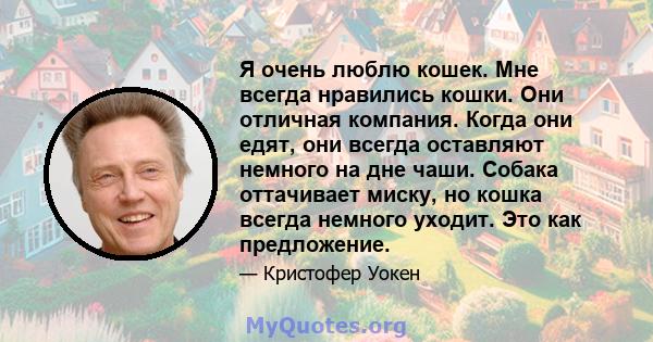 Я очень люблю кошек. Мне всегда нравились кошки. Они отличная компания. Когда они едят, они всегда оставляют немного на дне чаши. Собака оттачивает миску, но кошка всегда немного уходит. Это как предложение.