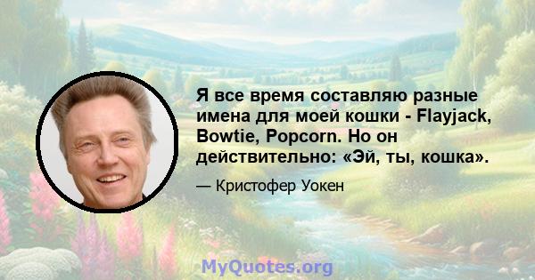 Я все время составляю разные имена для моей кошки - Flayjack, Bowtie, Popcorn. Но он действительно: «Эй, ты, кошка».