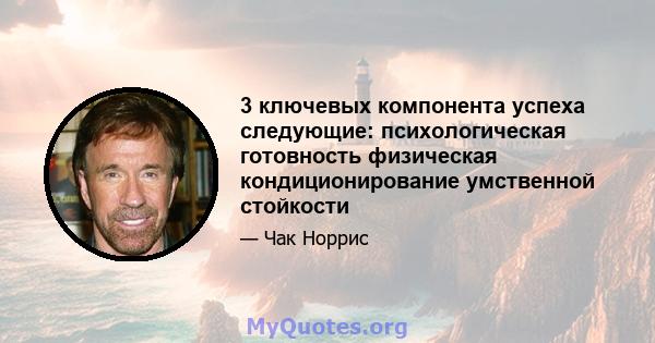 3 ключевых компонента успеха следующие: психологическая готовность физическая кондиционирование умственной стойкости