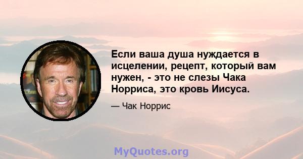 Если ваша душа нуждается в исцелении, рецепт, который вам нужен, - это не слезы Чака Норриса, это кровь Иисуса.