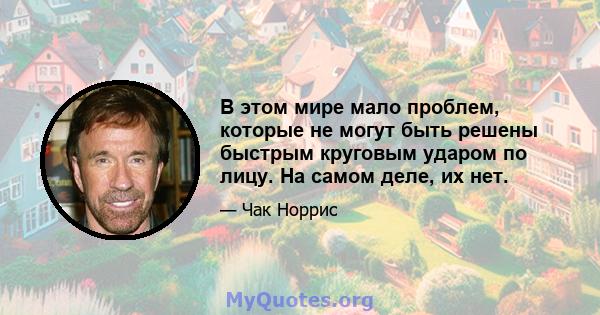 В этом мире мало проблем, которые не могут быть решены быстрым круговым ударом по лицу. На самом деле, их нет.