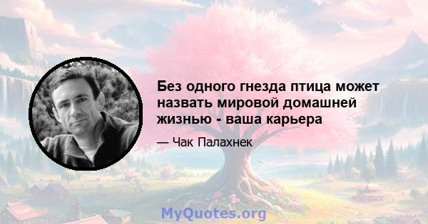 Без одного гнезда птица может назвать мировой домашней жизнью - ваша карьера