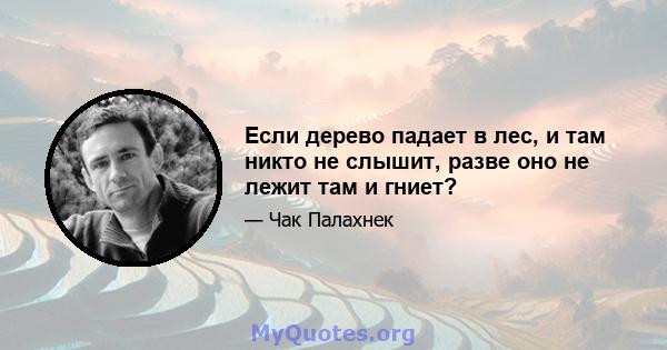 Если дерево падает в лес, и там никто не слышит, разве оно не лежит там и гниет?