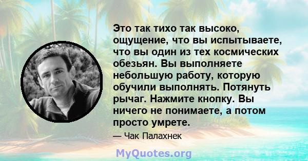 Это так тихо так высоко, ощущение, что вы испытываете, что вы один из тех космических обезьян. Вы выполняете небольшую работу, которую обучили выполнять. Потянуть рычаг. Нажмите кнопку. Вы ничего не понимаете, а потом