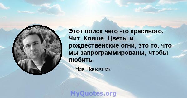 Этот поиск чего -то красивого. Чит. Клише. Цветы и рождественские огни, это то, что мы запрограммированы, чтобы любить.