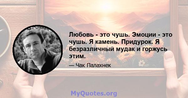 Любовь - это чушь. Эмоции - это чушь. Я камень. Придурок. Я безразличный мудак и горжусь этим.