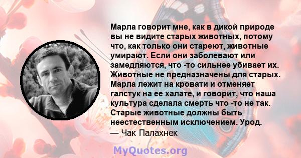 Марла говорит мне, как в дикой природе вы не видите старых животных, потому что, как только они стареют, животные умирают. Если они заболевают или замедляются, что -то сильнее убивает их. Животные не предназначены для