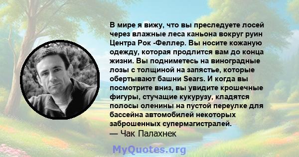 В мире я вижу, что вы преследуете лосей через влажные леса каньона вокруг руин Центра Рок -Феллер. Вы носите кожаную одежду, которая продлится вам до конца жизни. Вы подниметесь на виноградные лозы с толщиной на