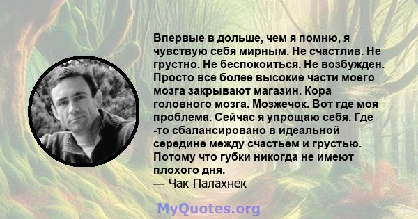 Впервые в дольше, чем я помню, я чувствую себя мирным. Не счастлив. Не грустно. Не беспокоиться. Не возбужден. Просто все более высокие части моего мозга закрывают магазин. Кора головного мозга. Мозжечок. Вот где моя