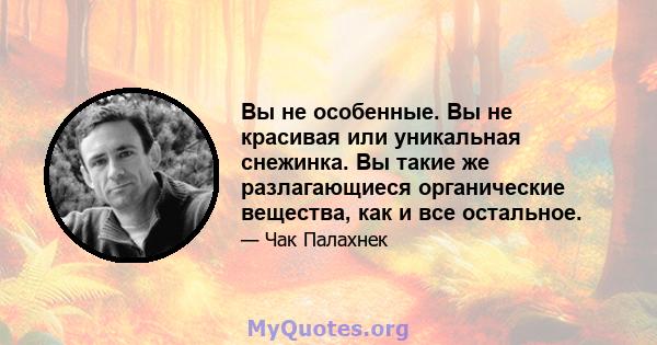 Вы не особенные. Вы не красивая или уникальная снежинка. Вы такие же разлагающиеся органические вещества, как и все остальное.