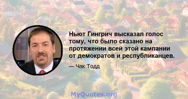 Ньют Гингрич высказал голос тому, что было сказано на протяжении всей этой кампании от демократов и республиканцев.