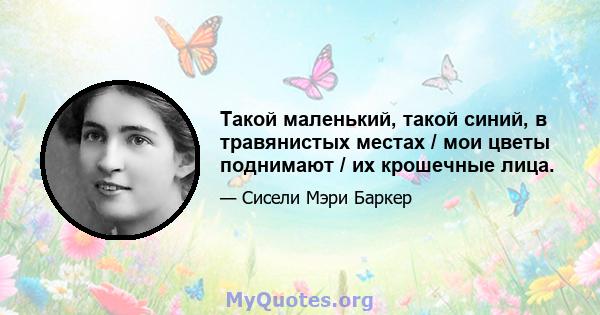 Такой маленький, такой синий, в травянистых местах / мои цветы поднимают / их крошечные лица.