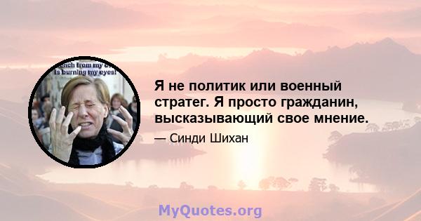 Я не политик или военный стратег. Я просто гражданин, высказывающий свое мнение.