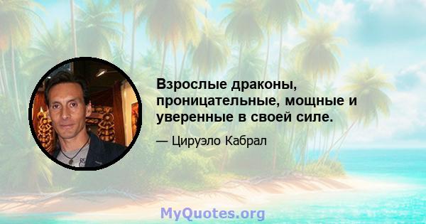 Взрослые драконы, проницательные, мощные и уверенные в своей силе.