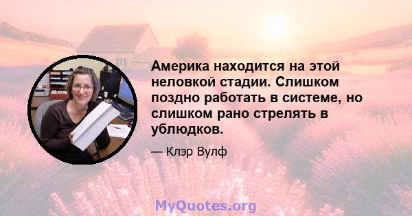 Америка находится на этой неловкой стадии. Слишком поздно работать в системе, но слишком рано стрелять в ублюдков.