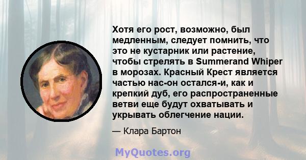 Хотя его рост, возможно, был медленным, следует помнить, что это не кустарник или растение, чтобы стрелять в Summerand Whiper в морозах. Красный Крест является частью нас-он остался-и, как и крепкий дуб, его