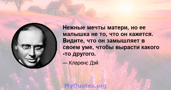 Нежные мечты матери, но ее малышка не то, что он кажется. Видите, что он замышляет в своем уме, чтобы вырасти какого -то другого.