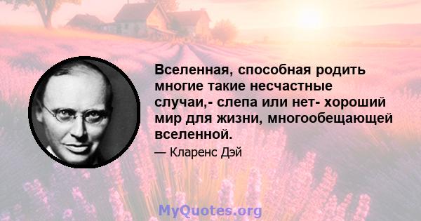 Вселенная, способная родить многие такие несчастные случаи,- слепа или нет- хороший мир для жизни, многообещающей вселенной.