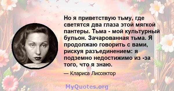 Но я приветствую тьму, где светятся два глаза этой мягкой пантеры. Тьма - мой культурный бульон. Зачарованная тьма. Я продолжаю говорить с вами, рискуя разъединением: я подземно недостижимо из -за того, что я знаю.