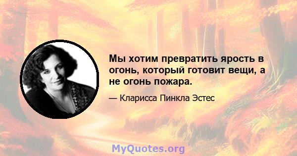 Мы хотим превратить ярость в огонь, который готовит вещи, а не огонь пожара.