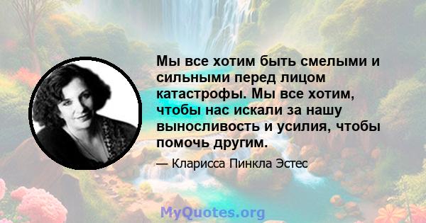 Мы все хотим быть смелыми и сильными перед лицом катастрофы. Мы все хотим, чтобы нас искали за нашу выносливость и усилия, чтобы помочь другим.