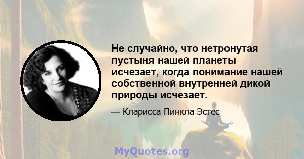 Не случайно, что нетронутая пустыня нашей планеты исчезает, когда понимание нашей собственной внутренней дикой природы исчезает.