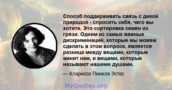 Способ поддерживать связь с дикой природой - спросить себя, чего вы хотите. Это сортировка семян из грязи. Одним из самых важных дискриминаций, которые мы можем сделать в этом вопросе, является разница между вещами,