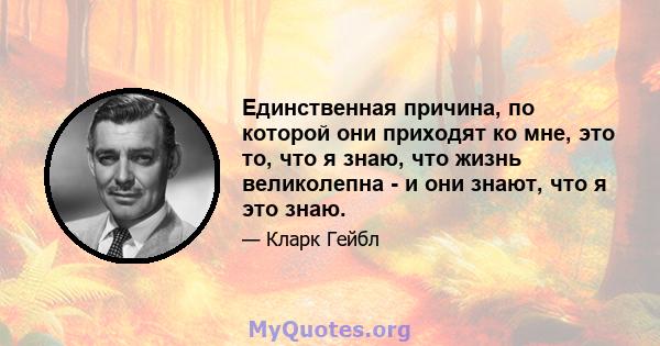 Единственная причина, по которой они приходят ко мне, это то, что я знаю, что жизнь великолепна - и они знают, что я это знаю.