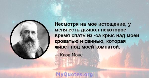 Несмотря на мое истощение, у меня есть дьявол некоторое время спать из -за крыс над моей кроватью и свинью, которая живет под моей комнатой.