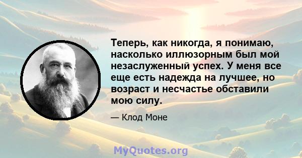 Теперь, как никогда, я понимаю, насколько иллюзорным был мой незаслуженный успех. У меня все еще есть надежда на лучшее, но возраст и несчастье обставили мою силу.