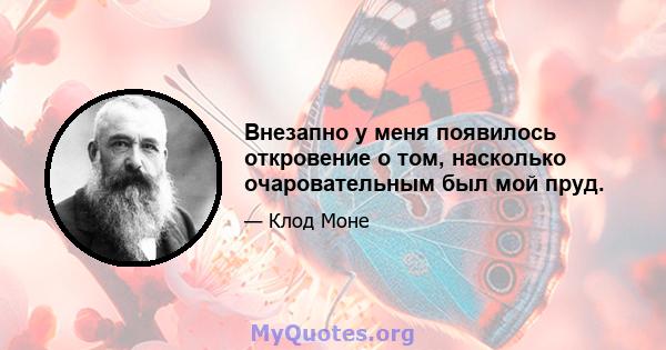 Внезапно у меня появилось откровение о том, насколько очаровательным был мой пруд.