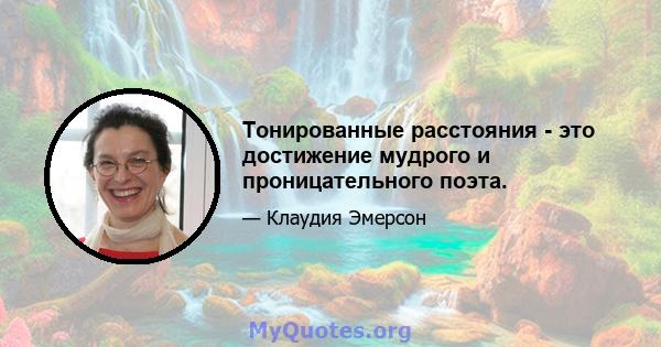 Тонированные расстояния - это достижение мудрого и проницательного поэта.