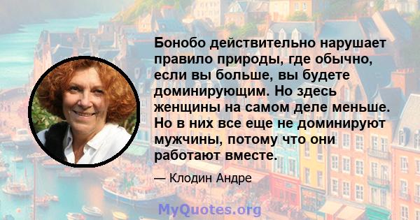 Бонобо действительно нарушает правило природы, где обычно, если вы больше, вы будете доминирующим. Но здесь женщины на самом деле меньше. Но в них все еще не доминируют мужчины, потому что они работают вместе.