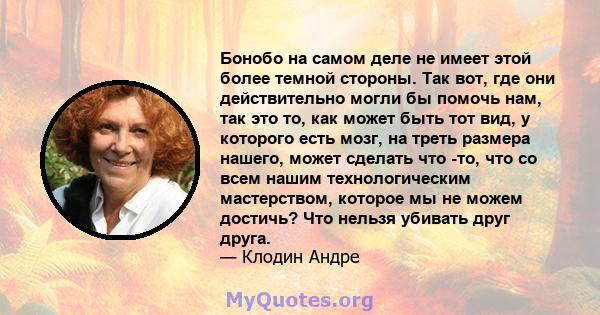 Бонобо на самом деле не имеет этой более темной стороны. Так вот, где они действительно могли бы помочь нам, так это то, как может быть тот вид, у которого есть мозг, на треть размера нашего, может сделать что -то, что