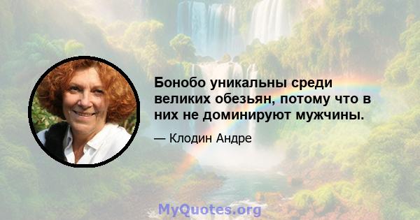 Бонобо уникальны среди великих обезьян, потому что в них не доминируют мужчины.