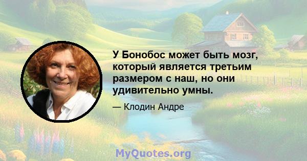 У Бонобос может быть мозг, который является третьим размером с наш, но они удивительно умны.