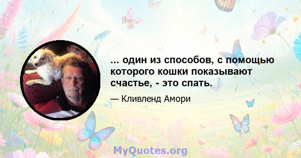 ... один из способов, с помощью которого кошки показывают счастье, - это спать.