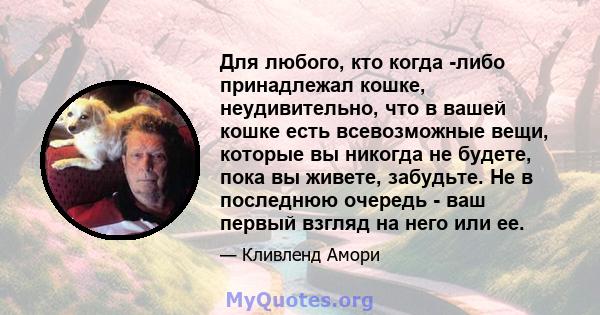 Для любого, кто когда -либо принадлежал кошке, неудивительно, что в вашей кошке есть всевозможные вещи, которые вы никогда не будете, пока вы живете, забудьте. Не в последнюю очередь - ваш первый взгляд на него или ее.