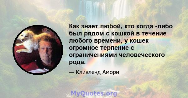 Как знает любой, кто когда -либо был рядом с кошкой в ​​течение любого времени, у кошек огромное терпение с ограничениями человеческого рода.